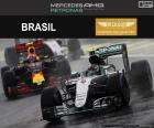 Nico Rosberg, ikinci sırada onun Red Bull ile Brezilya Grand Prix 2016. Yılın sondan bir önceki yarışı